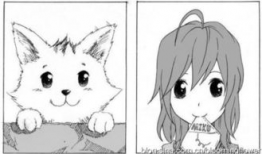 猫的动漫,探寻猫咪角色的奇幻世界